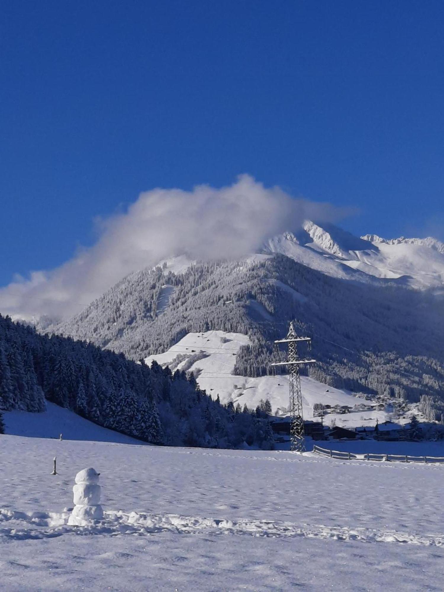 Wiesen * Innsbruck